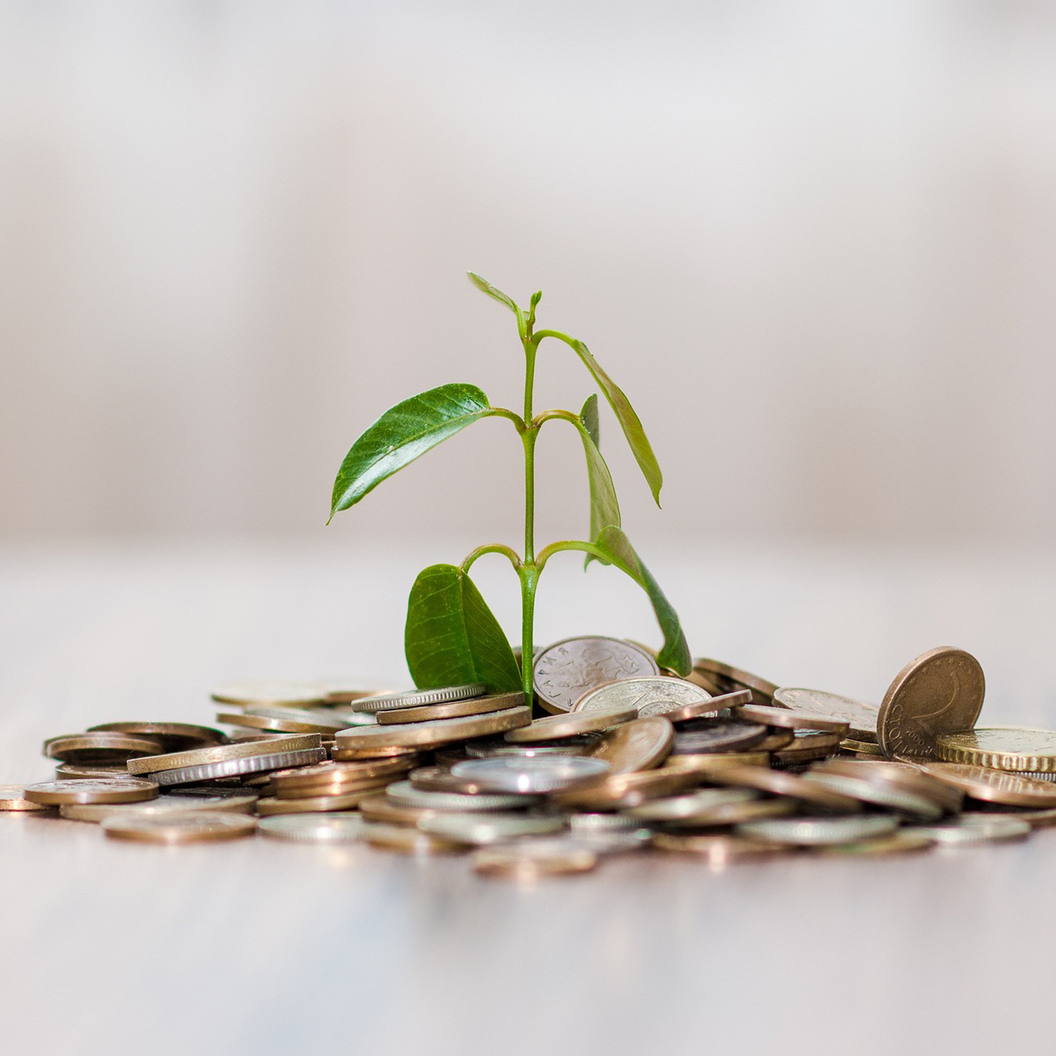 Ratgeber Karriere und Finanzen